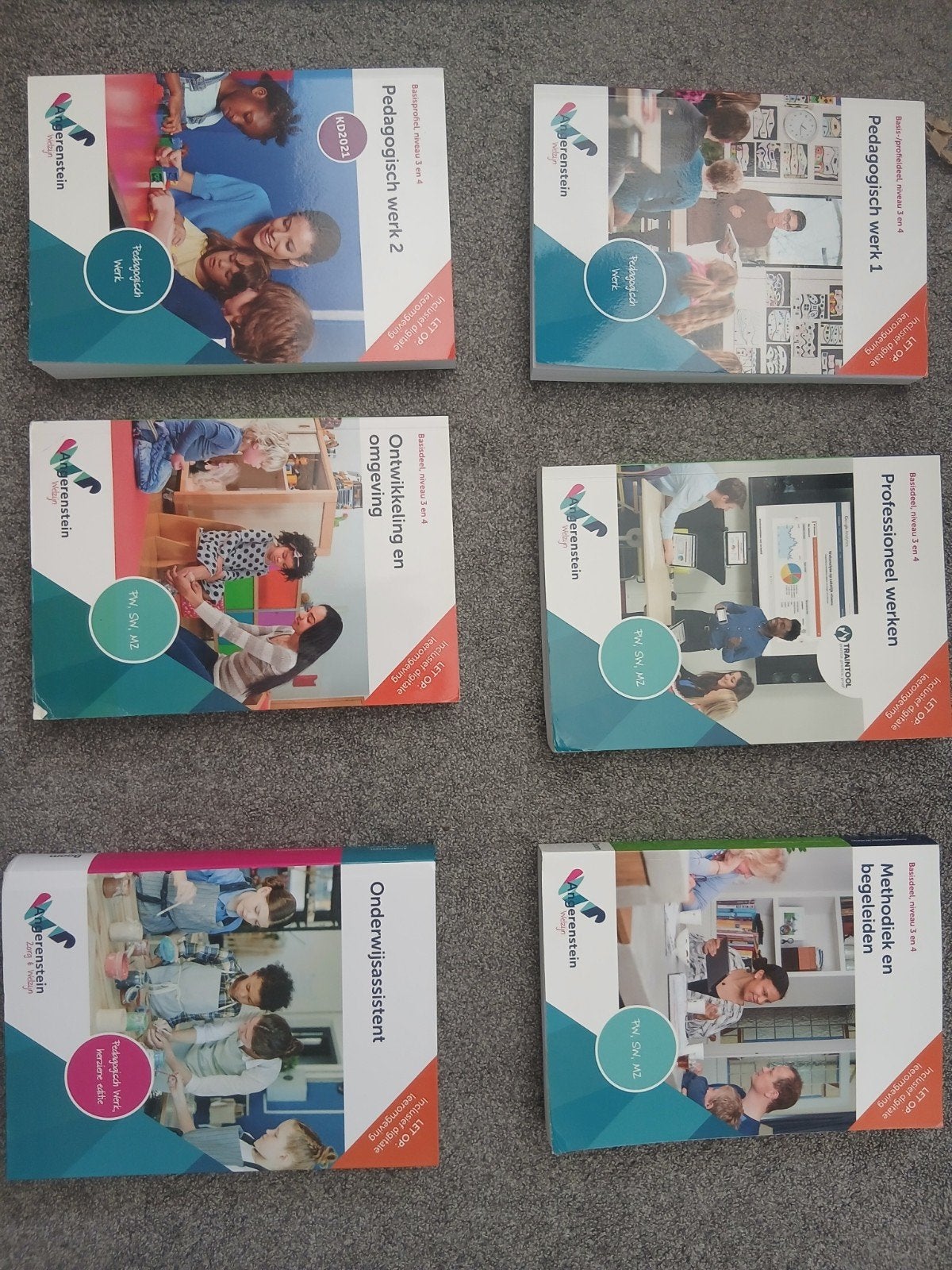 Angerenstein Pedagogisch Werk & Onderwijsassistent boeken, Overige vakken, Ophalen of Verzenden, Zo goed als nieuw, Angerenstein