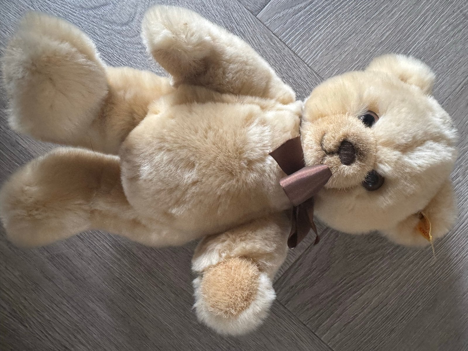 Steiff Teddybeer - Zo goed als nieuw, Steiff, Steiff, Verzenden, Steiff