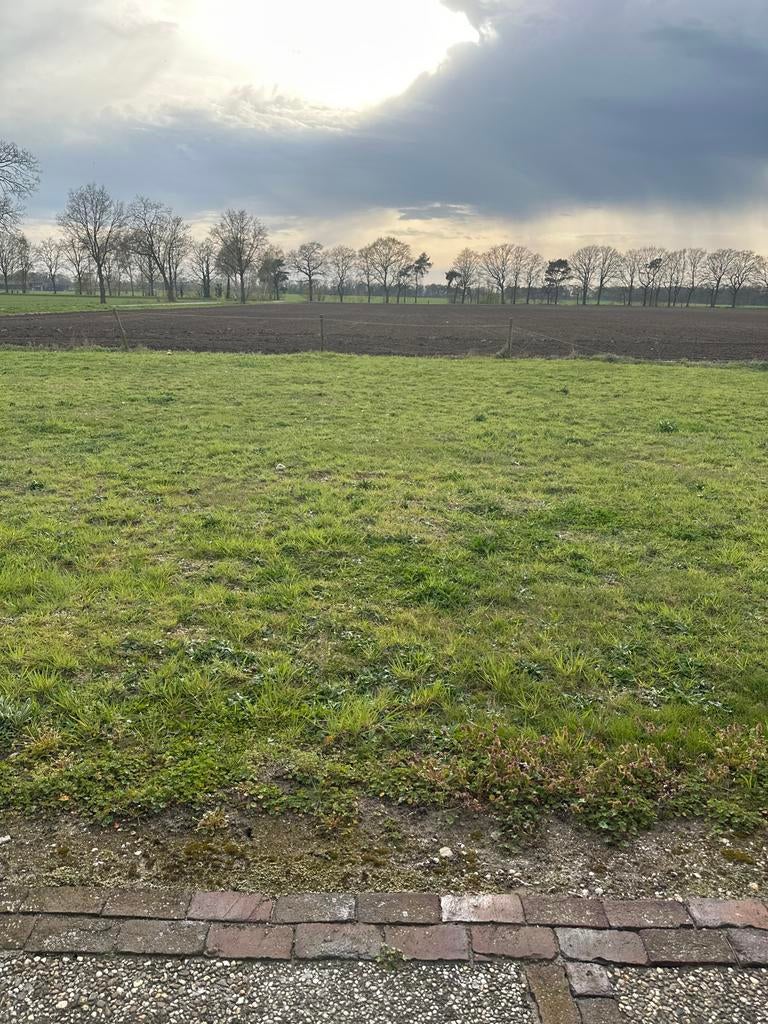 Zwarte cross kampeer plek, Tickets en Kaartjes, Drie personen of meer, Meerdaags