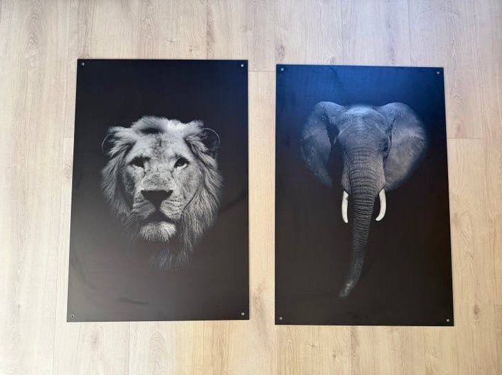 2x PosterJunkie Alu-dibond posters 90x60 cm, Ophalen, Gebruikt, Foto of Poster, 75 – 100