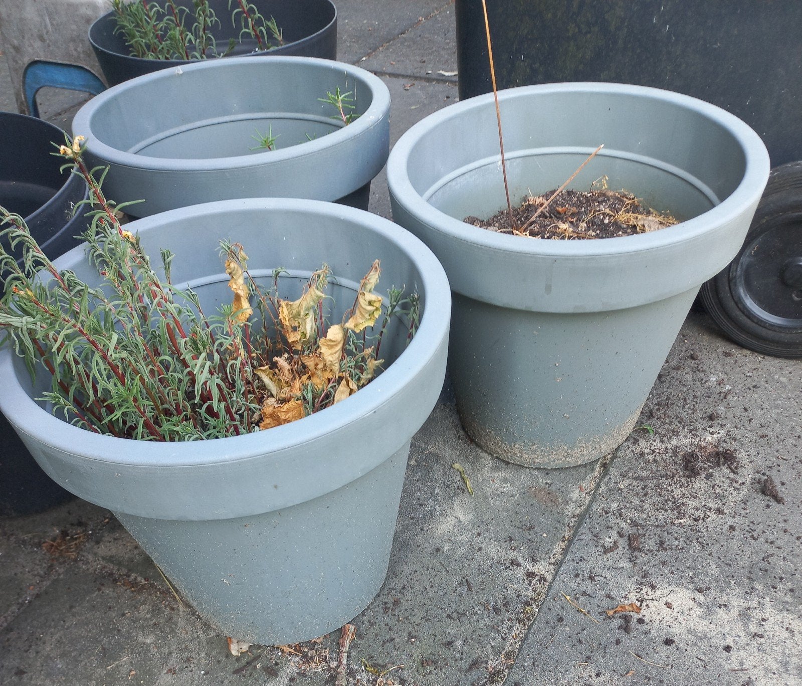 bloempotten kunststof, Tuin en Terras, Ophalen of Verzenden, Rond, Steen, Minder dan 30 cm