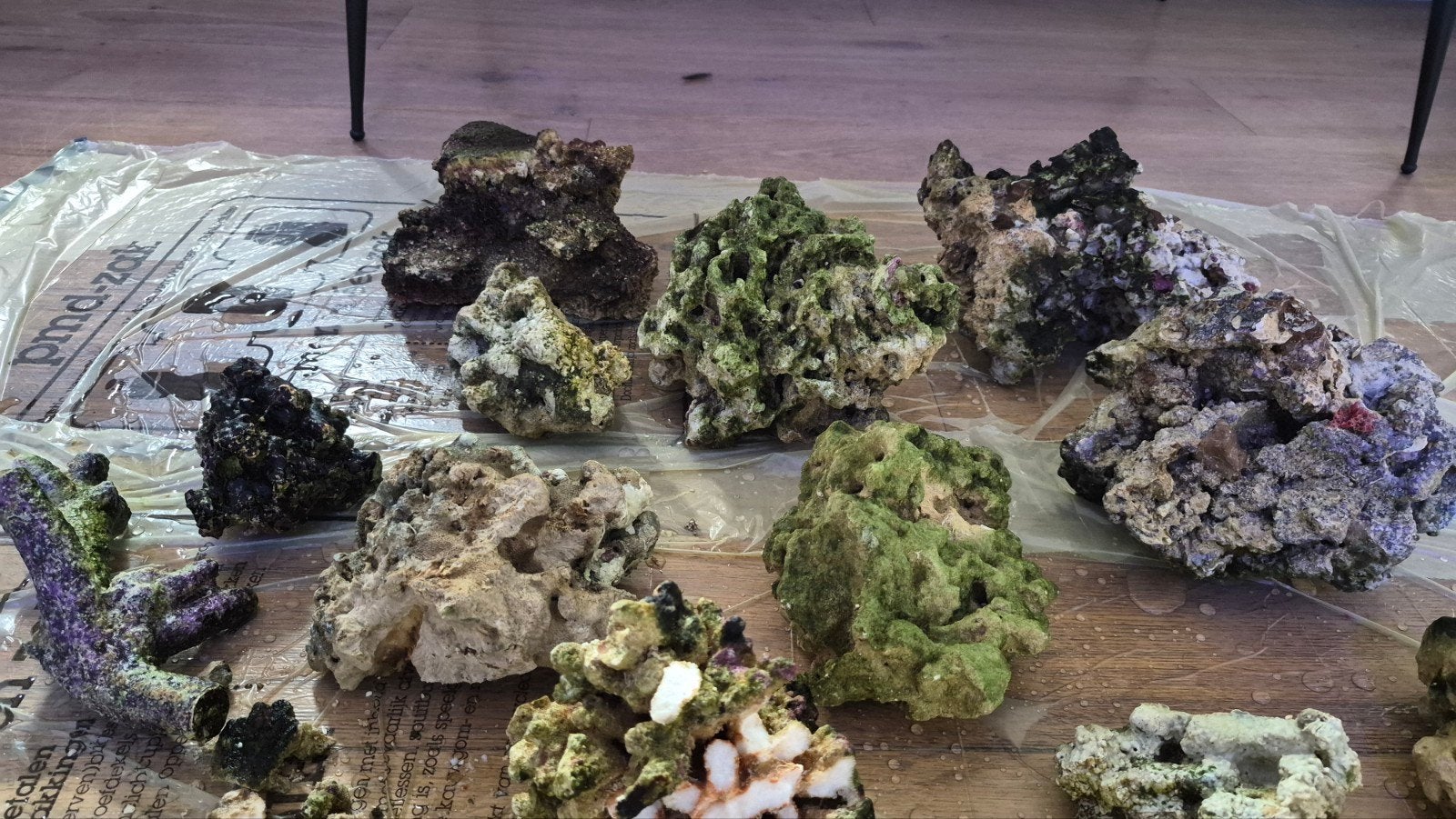 Levend steen Zeeaquarium, Ophalen, Plant(en), Steen of Hout