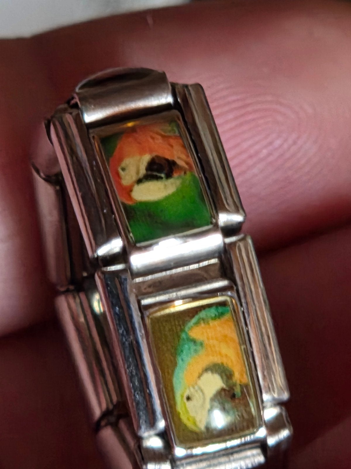 Papegaai schake ring maat 19, Overige materialen, 19 tot 20, Nieuw, Ophalen of Verzenden