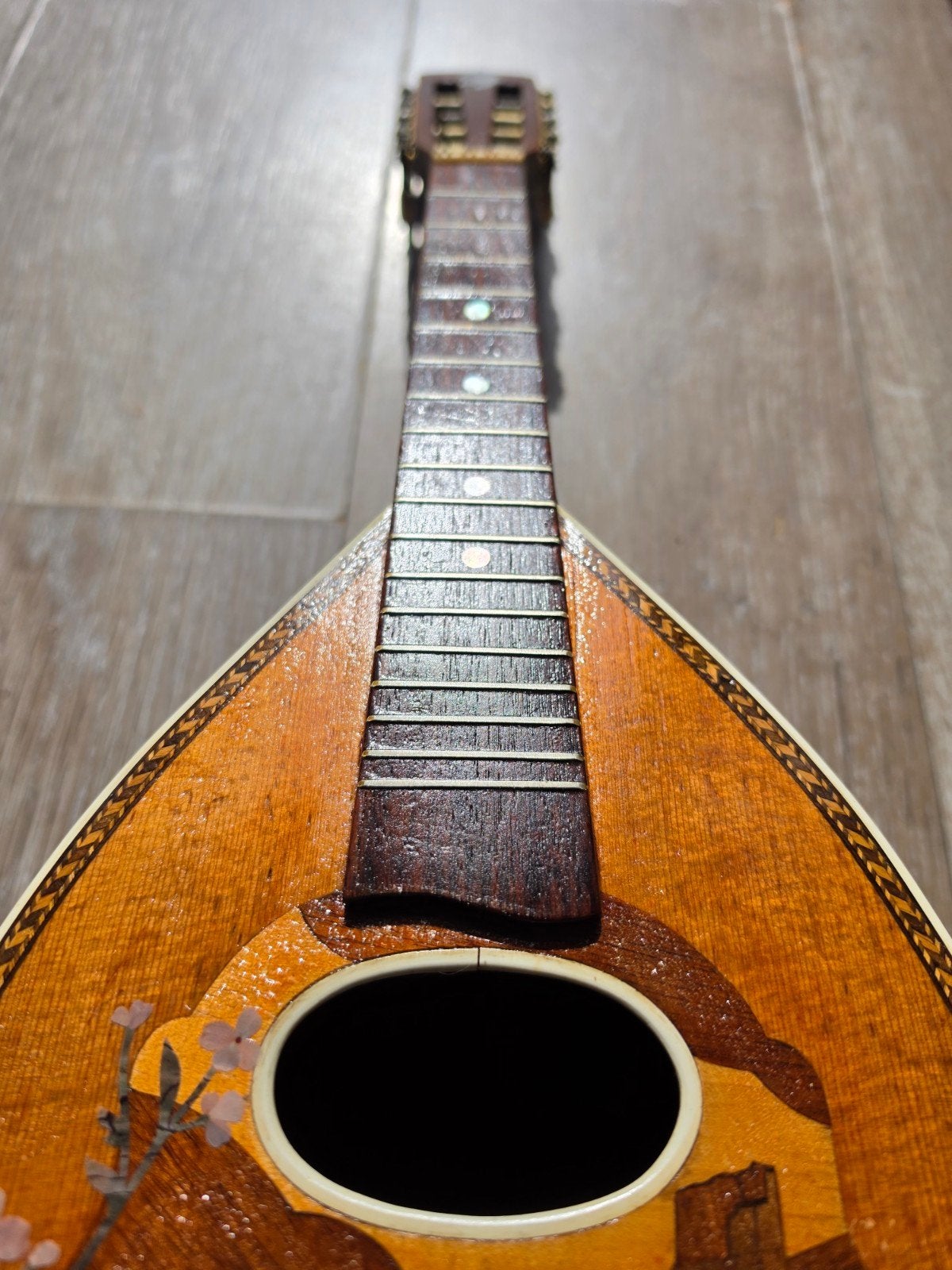 Gerestaureerde Italiaanse Mandoline (ca. 1920), Muziek en Instrumenten, Ophalen of Verzenden, Gebruikt, Overige typen
