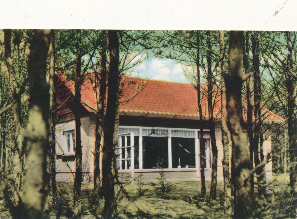 9869 Luyksgestel Bungalowpark AMRO Bromo Color, Verzamelen, Ansichtkaarten | Nederland, Ophalen of Verzenden, 1940 tot 1960, Noord-Brabant