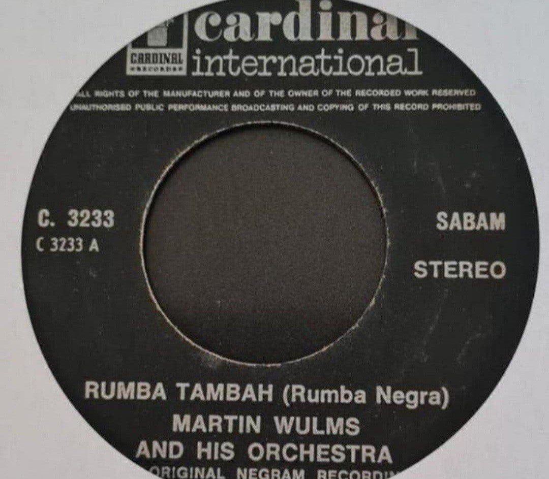 MARTIN WULMS  - RUMBA TAMBAH (RUMBA NEGRA), Ophalen of Verzenden, Gebruikt