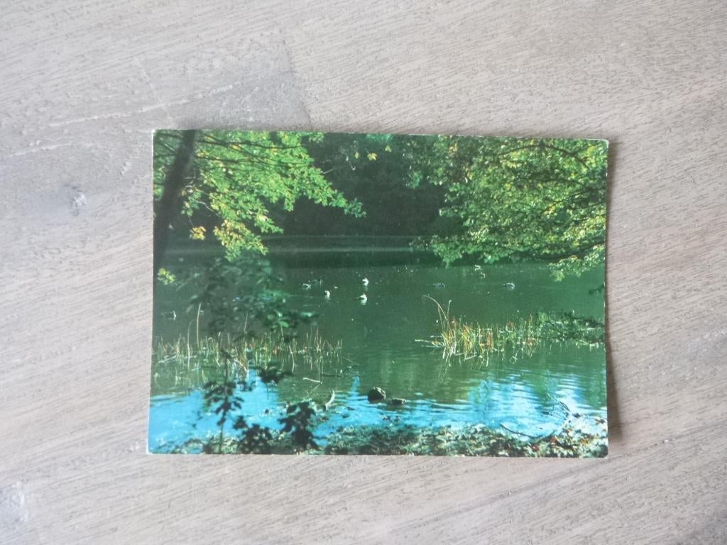 groeten uit Steenwijk, Verzenden, 1980 tot heden, Ongelopen, Overijssel