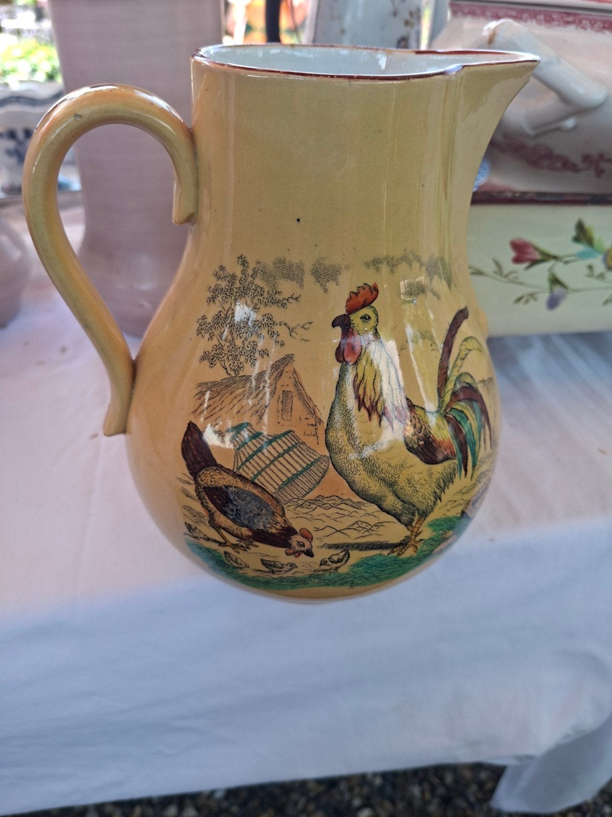 Te koop kan Nimy, Ophalen of Verzenden