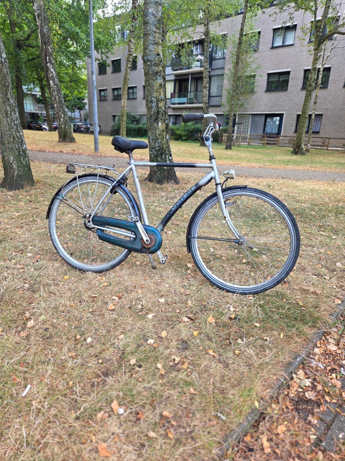 stadsfiets, Ophalen, Terugtraprem, Gazelle, 53 tot 56 cm