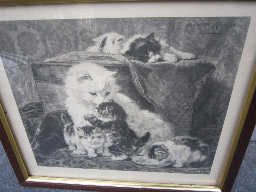 Henriette Ronner, 30 er jaren Prent Spelende poesjes, Ophalen of Verzenden, Voor 1940, Gebruikt, Overige onderwerpen