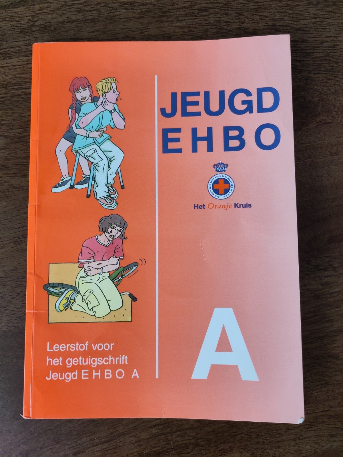 Jeugd EHBO A boekje - Het Oranje Kruis (1998), Ophalen of Verzenden, Gelezen