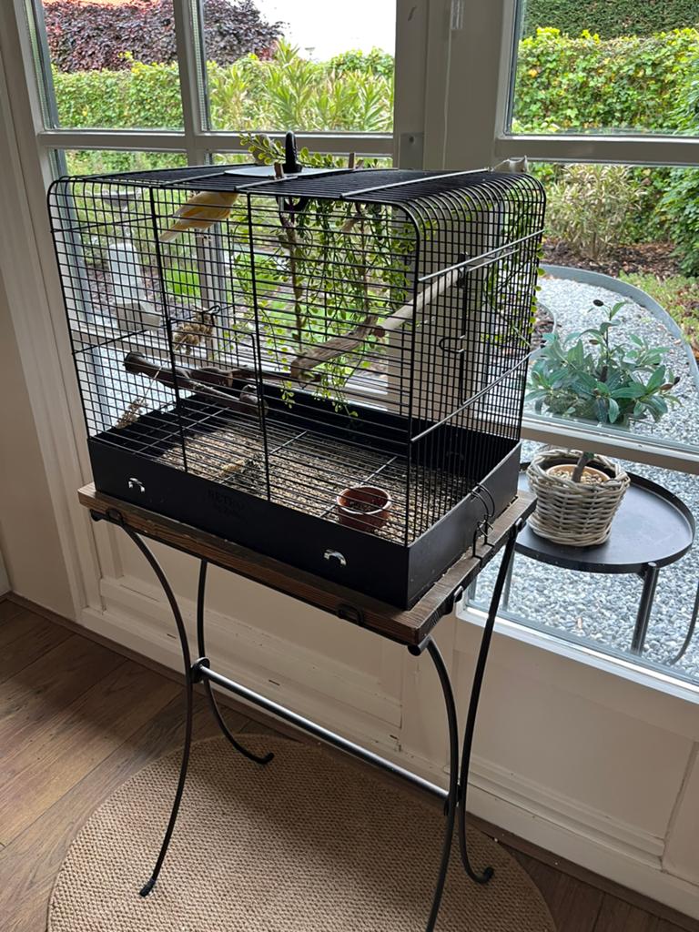 Schitterende luxe vogelkooi, metaal en hout, op standaard, Ophalen, Zo goed als nieuw, Hout, Vogelkooi