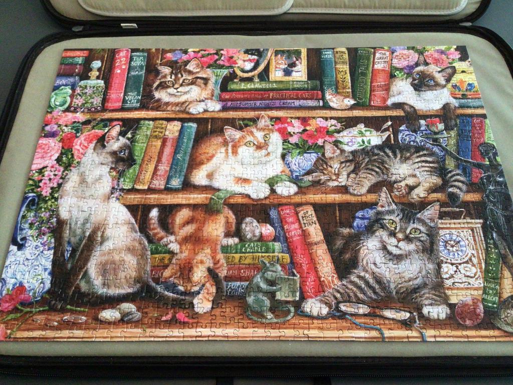 Gibsons legpuzzel Puss in Books van Debbie Cook, Ophalen of Verzenden, 500 t/m 1500 stukjes, Zo goed als nieuw, Legpuzzel