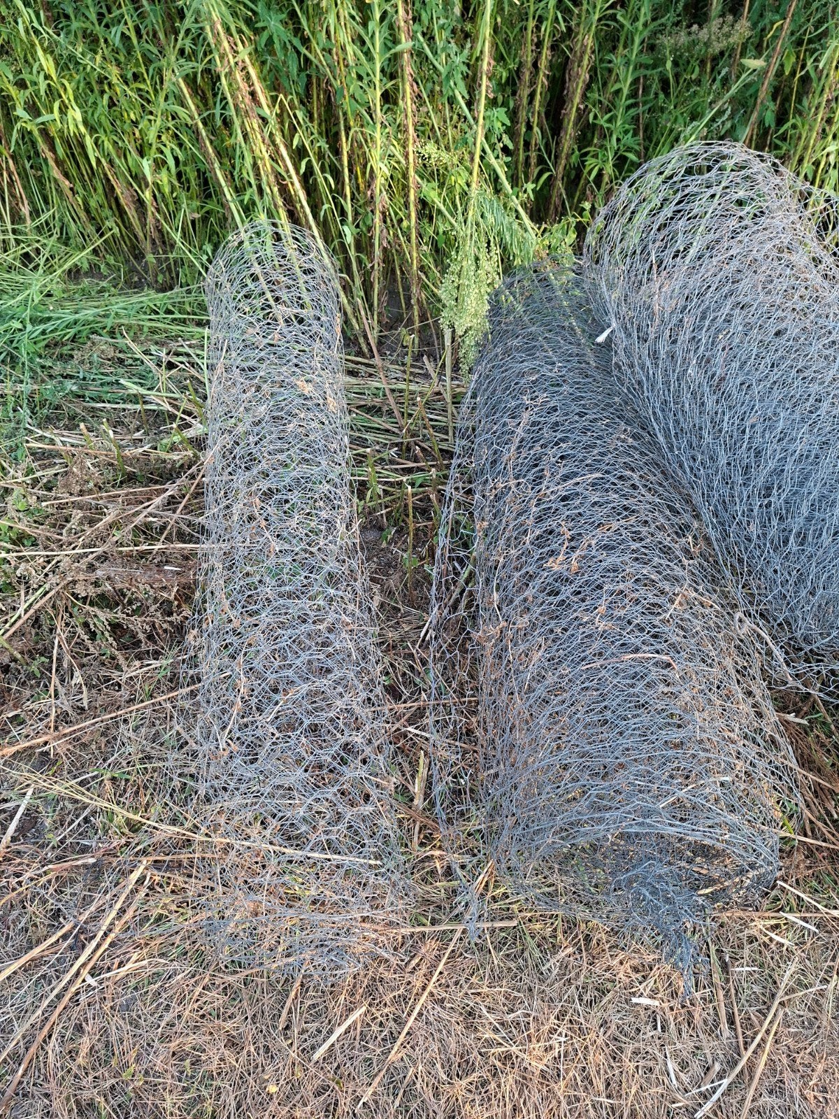 Kippengaas, Diverse hoogtes Ca. 50 meter, Tuin en Terras, Gaas en Draad, Ophalen, Zo goed als nieuw, 20 meter of meer, Gaas
