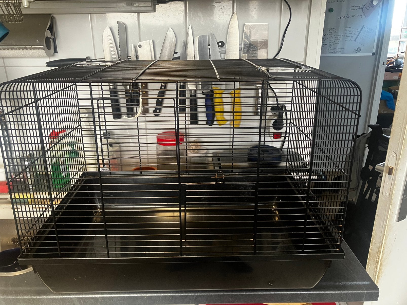 Cavia Kooi en toebehoren (gebruikte), Ophalen, Gebruikt, Speelgoed
