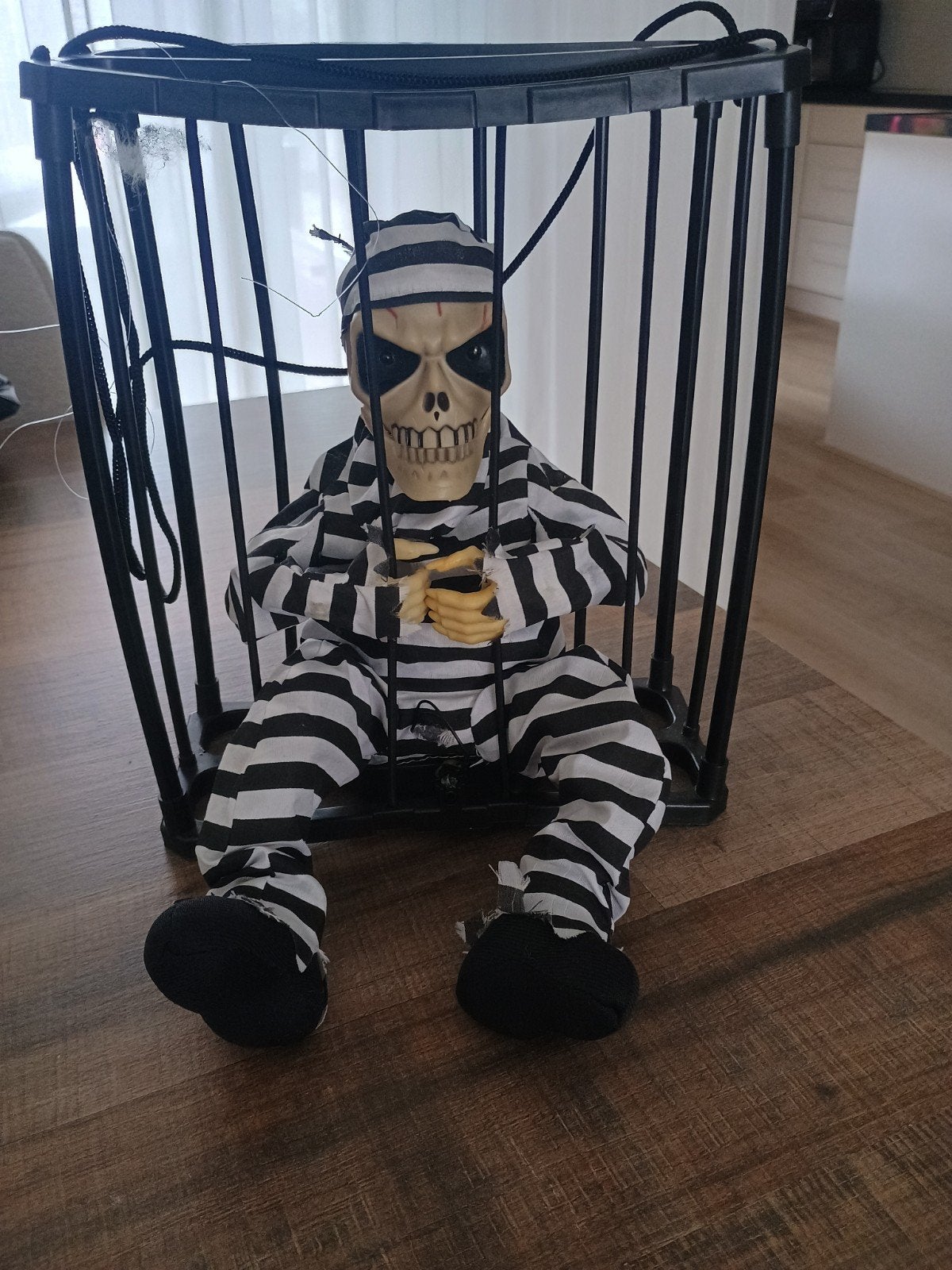 Halloween skelet gevangen., Ophalen, Zo goed als nieuw, Overige typen