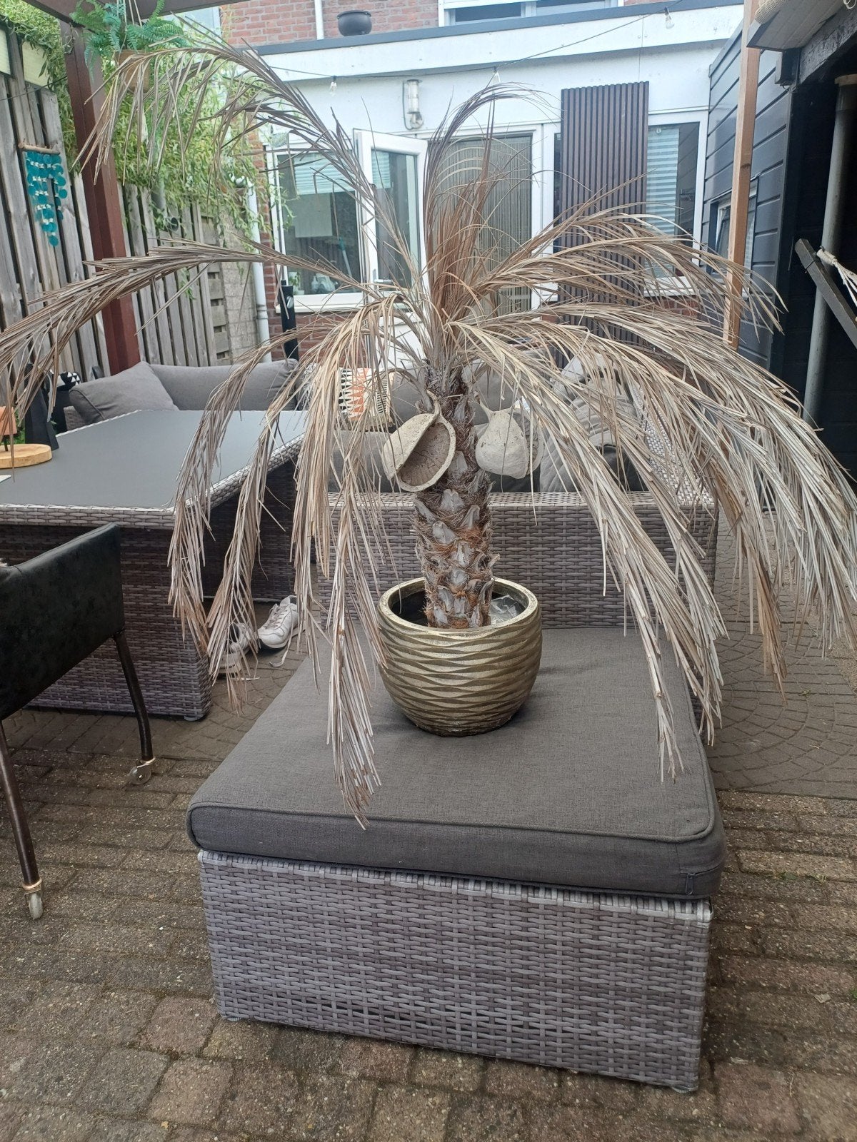 Decoratieve kunstpalm in gouden pot, Ophalen of Verzenden