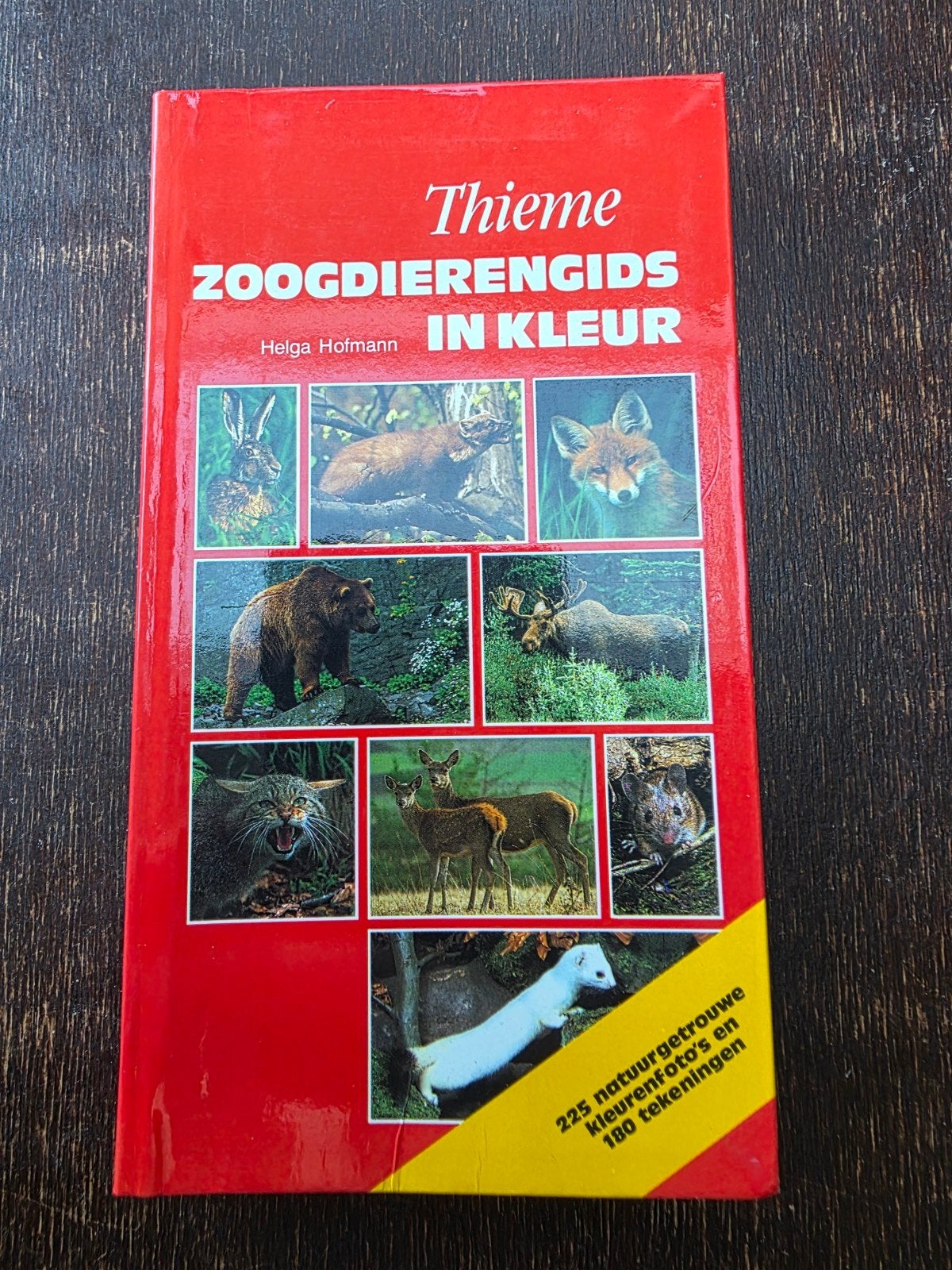 Thieme Zoogdierengids in kleur - Helga Hofmann - natuur, Boeken, Ophalen of Verzenden, Zo goed als nieuw, Natuur algemeen, Helga Hofmann