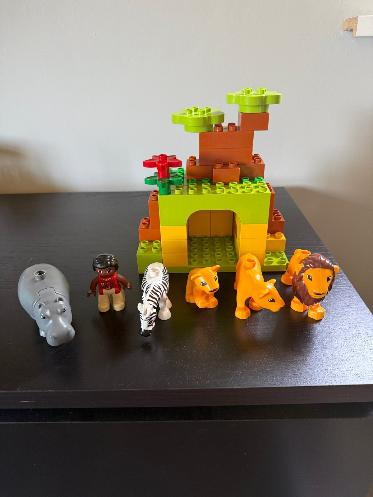 Duplo Around the World - Safari en Azië (mist 1 onderdelen), Ophalen, Gebruikt, Overige merken