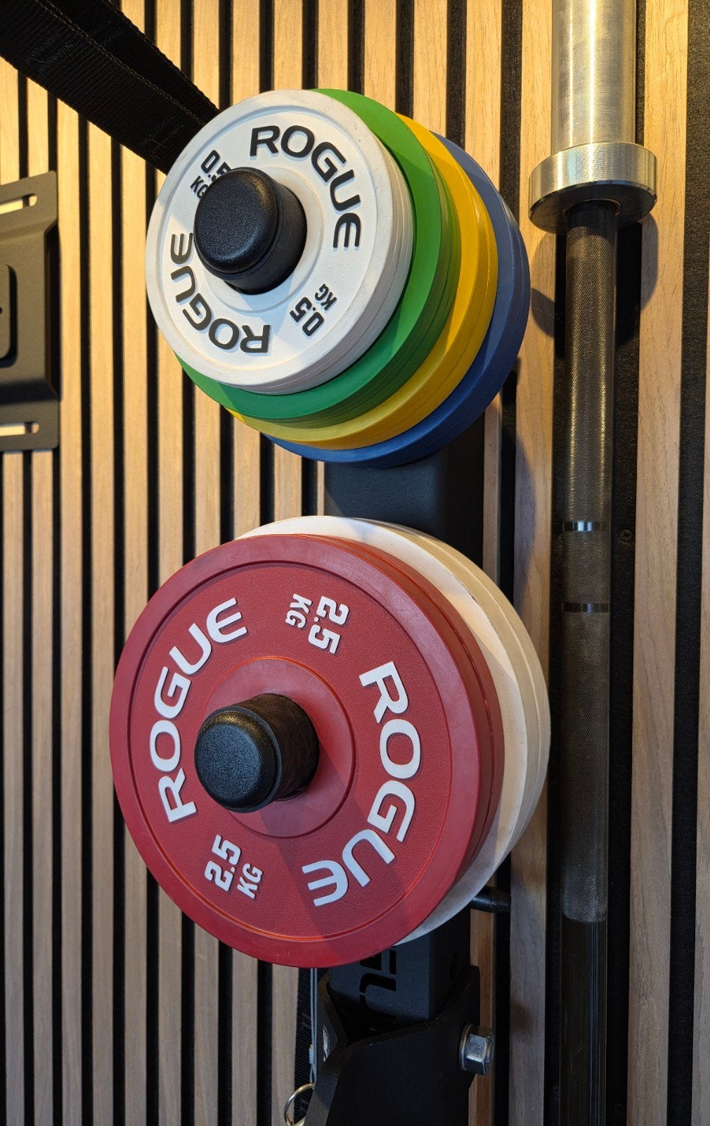 Rogue KG Change Plates (IWF) 25kg, Ophalen, Gebruikt, Halterschijven