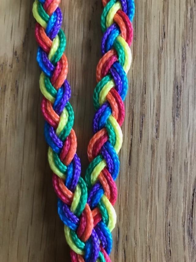 Regenboog fluitkoord, Ophalen of Verzenden, Nieuw, Overige typen