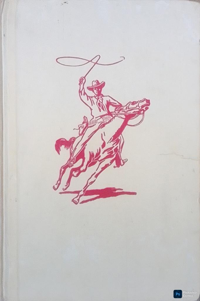 Het Geheim Van Bad Man's Hut, Gelezen, J. Nowee., Ophalen of Verzenden, Fictie