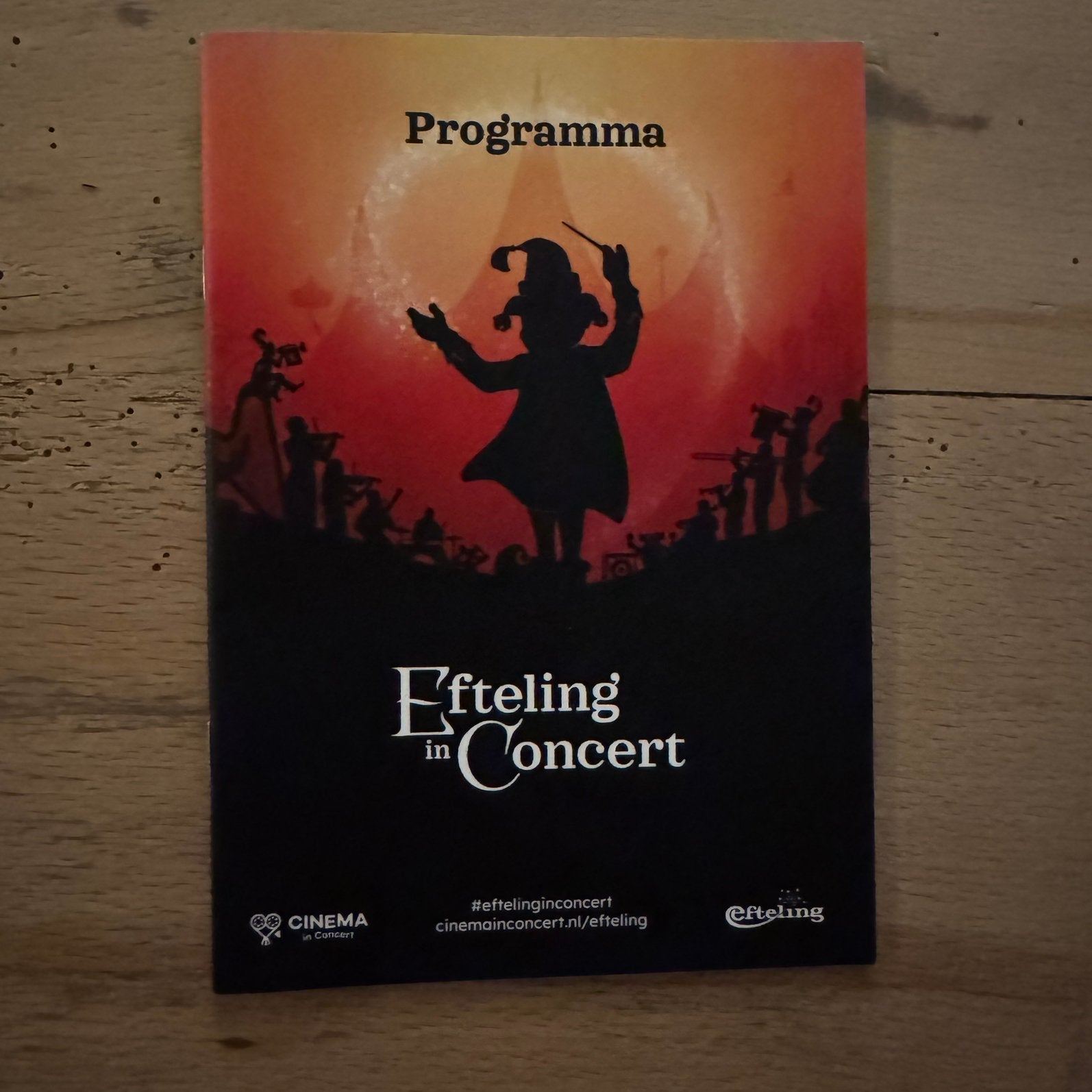 Efteling in Concert Programmaboek, Verzenden, Zo goed als nieuw, Overige typen