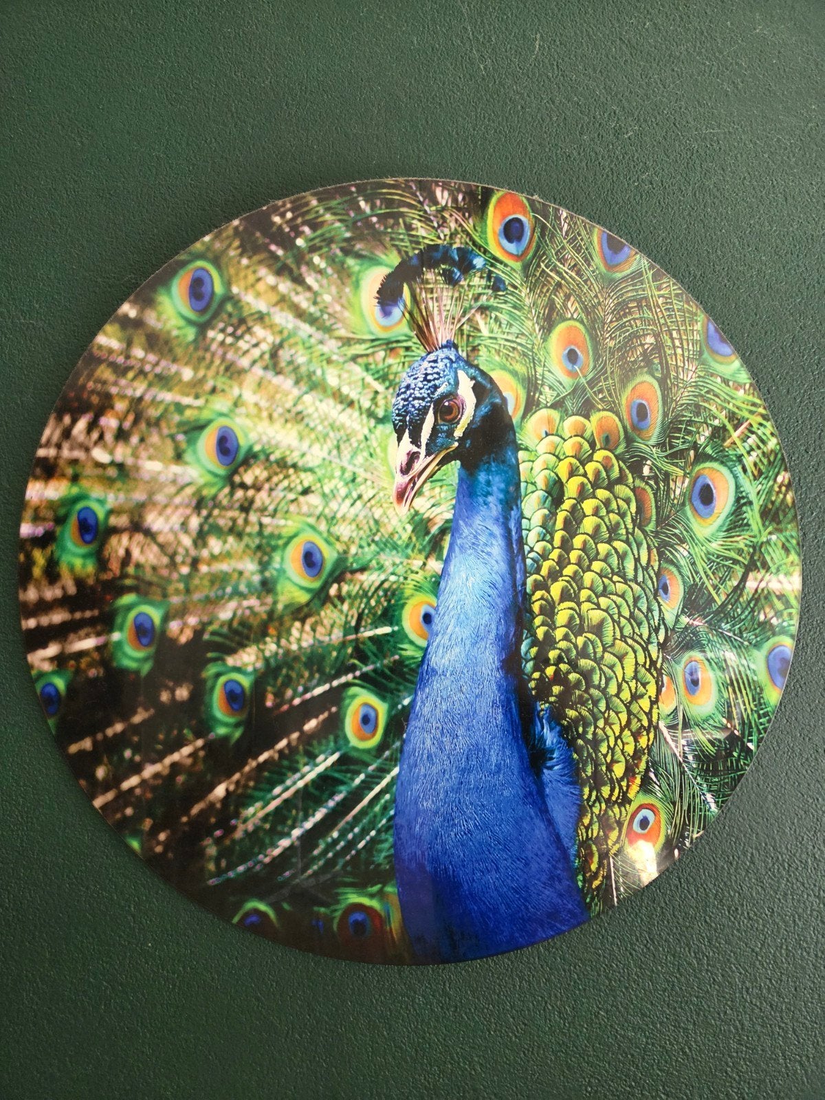 Muurdecoratie glas pauw - Ø 70cm, Ophalen, Zo goed als nieuw, Glas