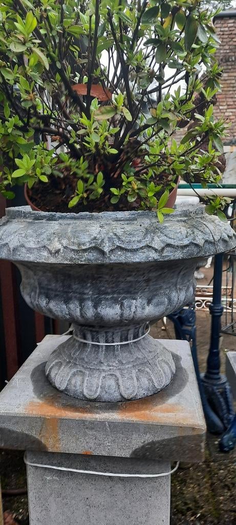 Decoratieve betonnen bloempot met plant, Tuin en Terras, Bloempotten, Ophalen, Rond, Nieuw, Balkon
