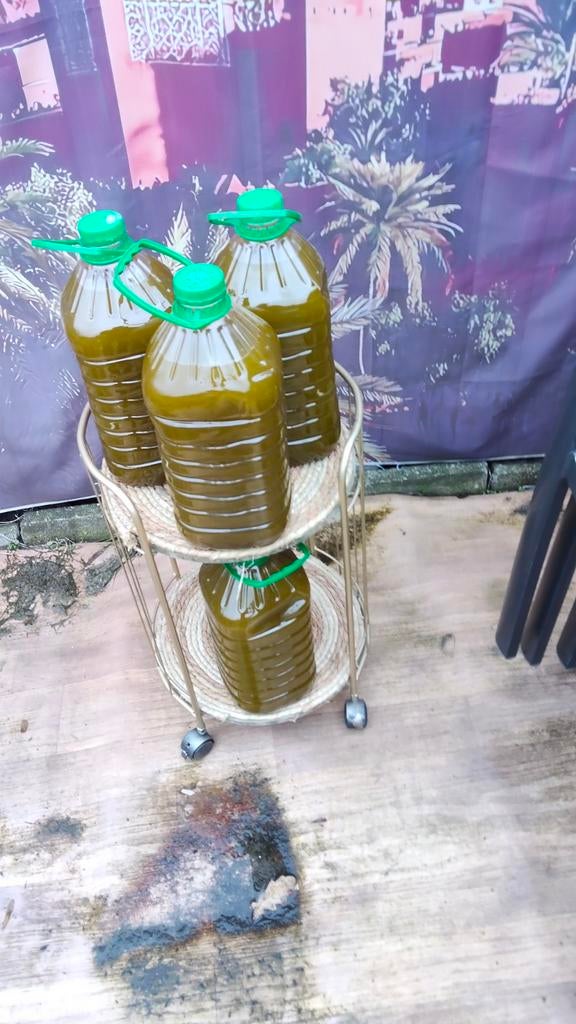 Olijfolie uit Marokko regio beni mellal Actie 35,00 per 5 l, Bijen