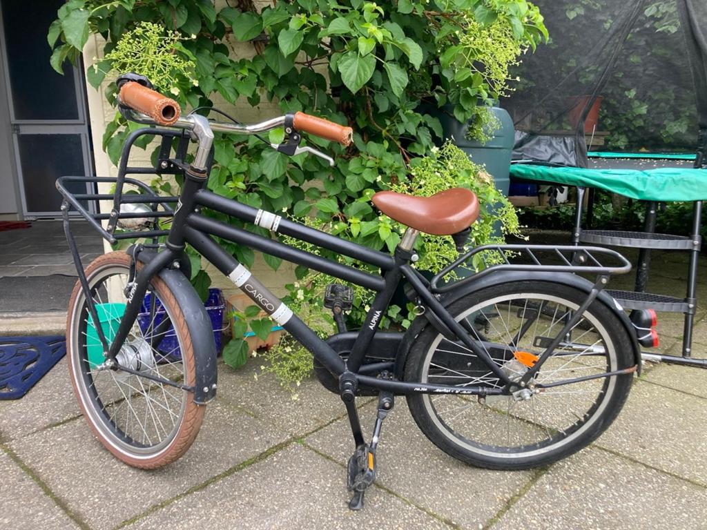 Alpina Cargo 20 inch, Fietsen en Brommers, Ophalen, Gebruikt, Overige merken