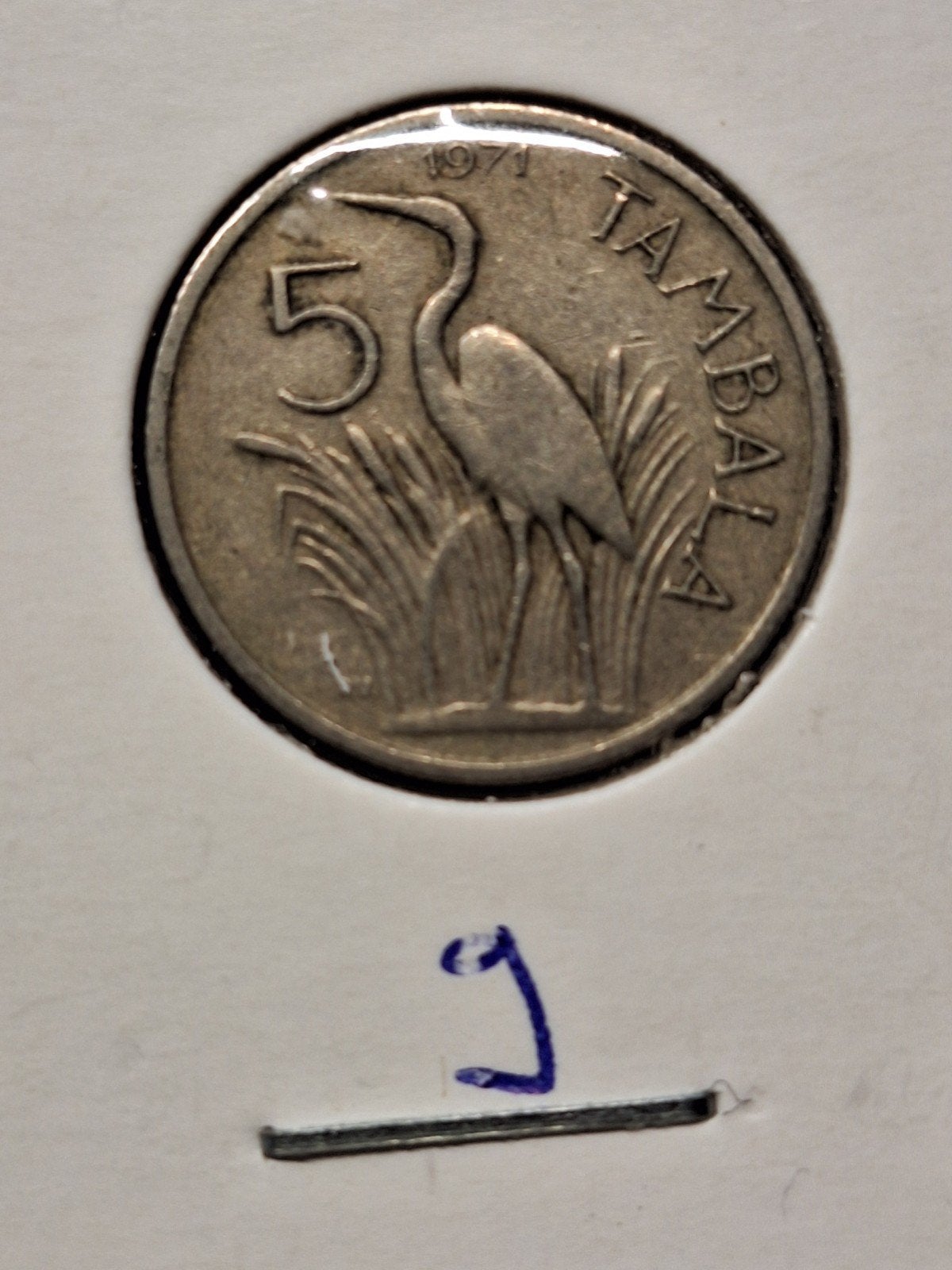 Malawi 5 tambala 1971, Ophalen of Verzenden, Overige landen