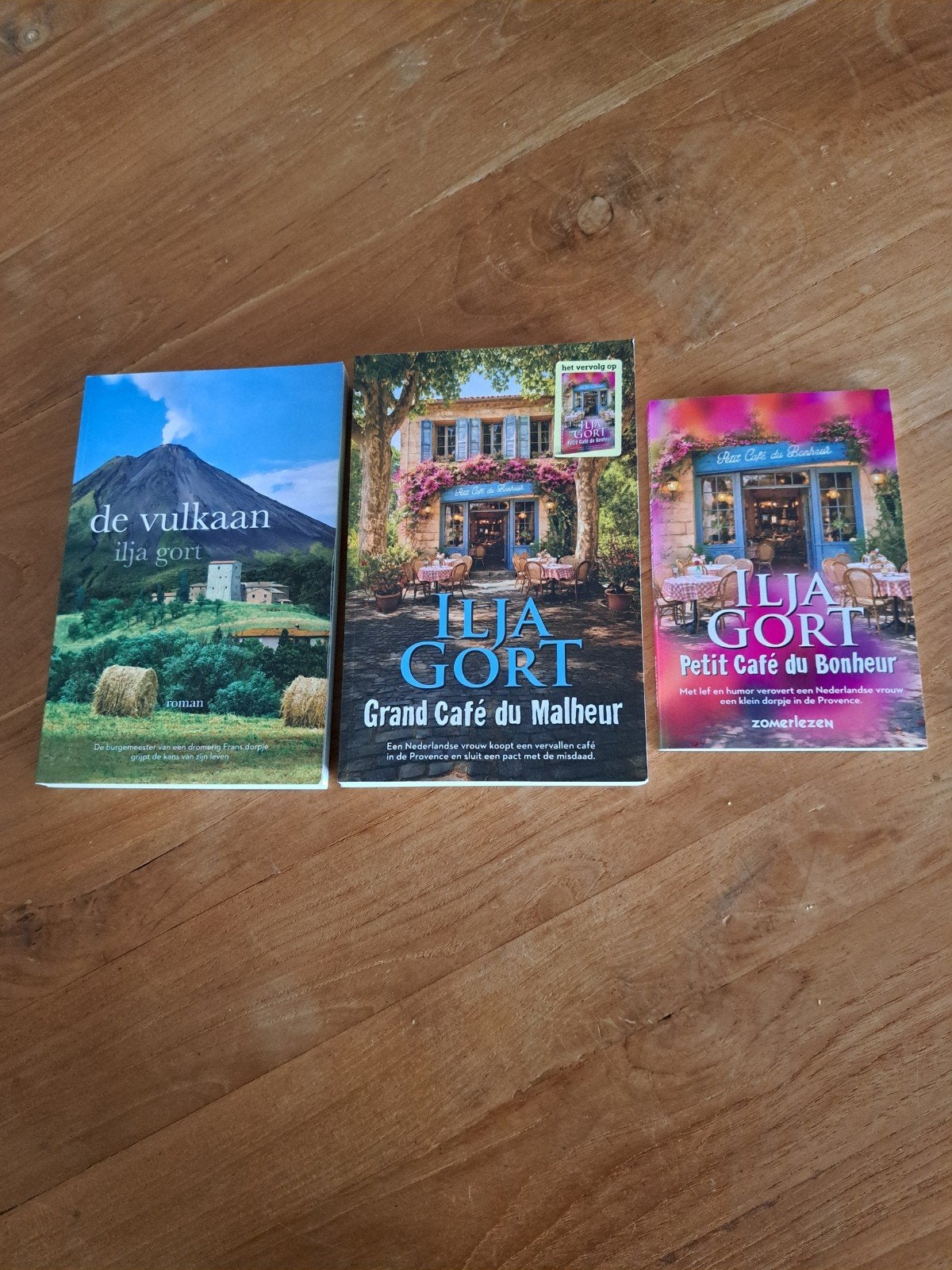 Ilja Gort boek,Grand Café du Malheur, Petit café, de vulkaan, Ophalen of Verzenden, Gelezen, Ilja Gort, Nederland