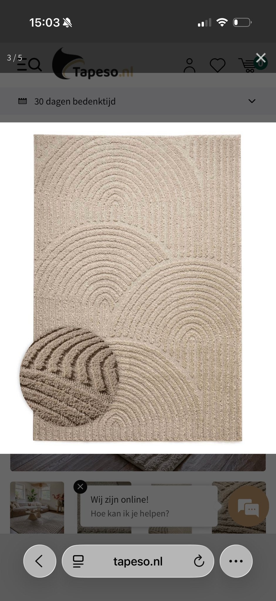 Nieuw Vloerkleed 240x340 cm - Te Groot voor Huis, Huis en Inrichting, Stoffering | Behang, Ophalen, Beige