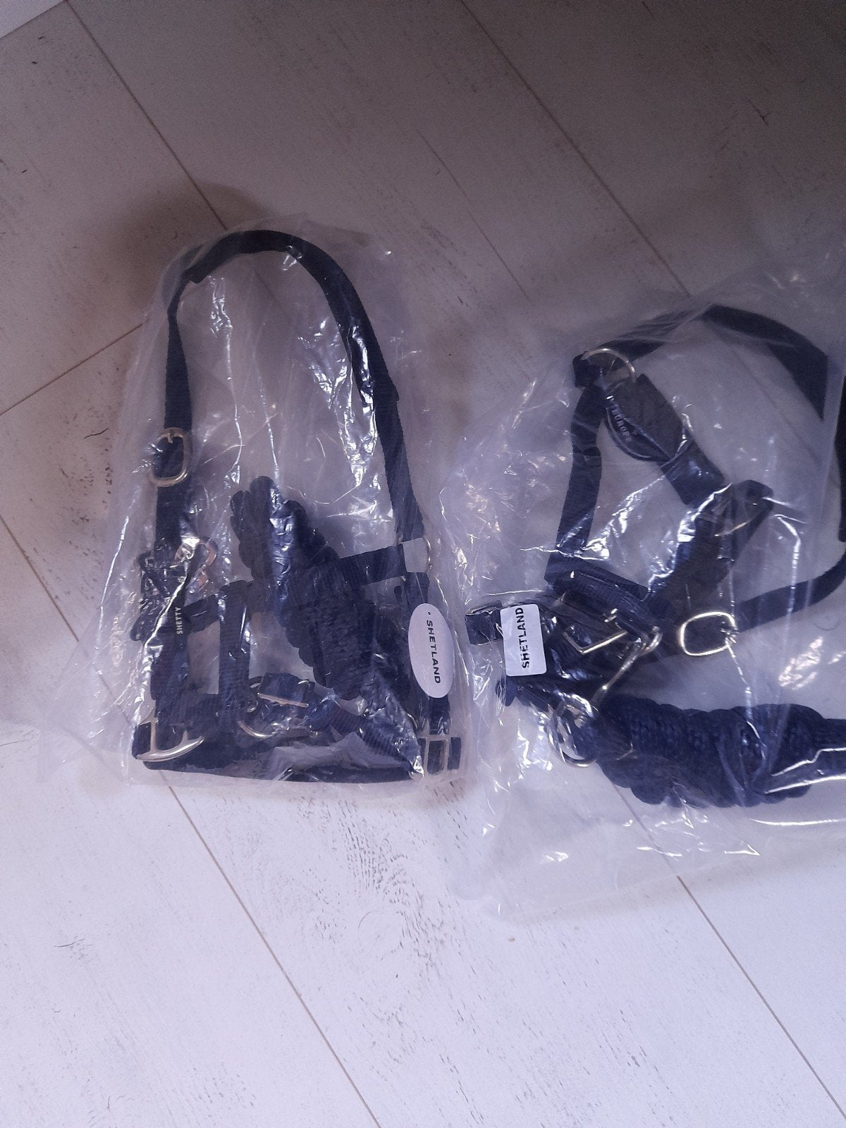 Halsters maat Shetlander inclusief touw, Dieren en Toebehoren, Shetlander, Nieuw, Ophalen of Verzenden, Blauw