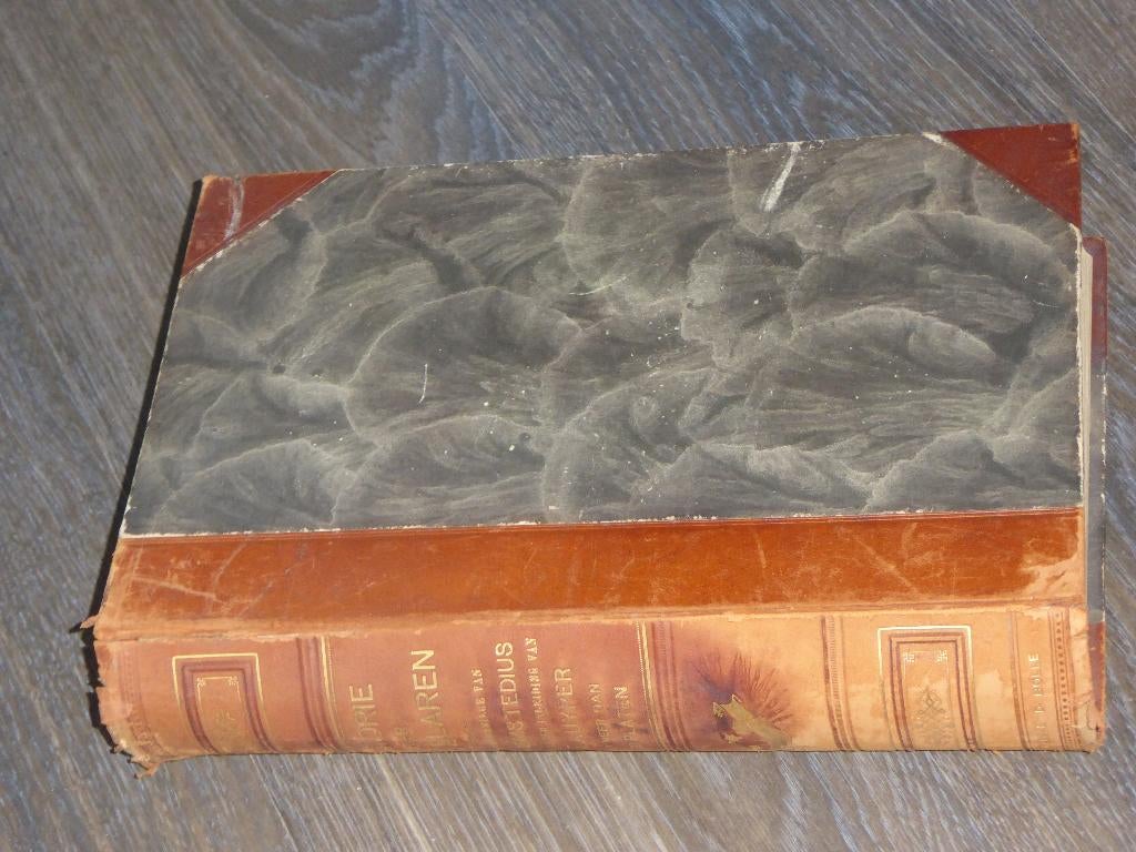 HISTORIE DER MARTELAREN - ADRIANUS HAEMSTEDIUS, Antiek en Kunst, Antiek | Boeken en Bijbels, Verzenden