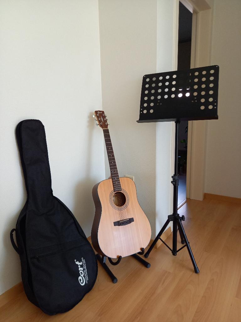 Complete set: Cort Earth Western gitaar + Standaarden & Tas, Muziek en Instrumenten, Snaarinstrumenten | Gitaren | Akoestisch