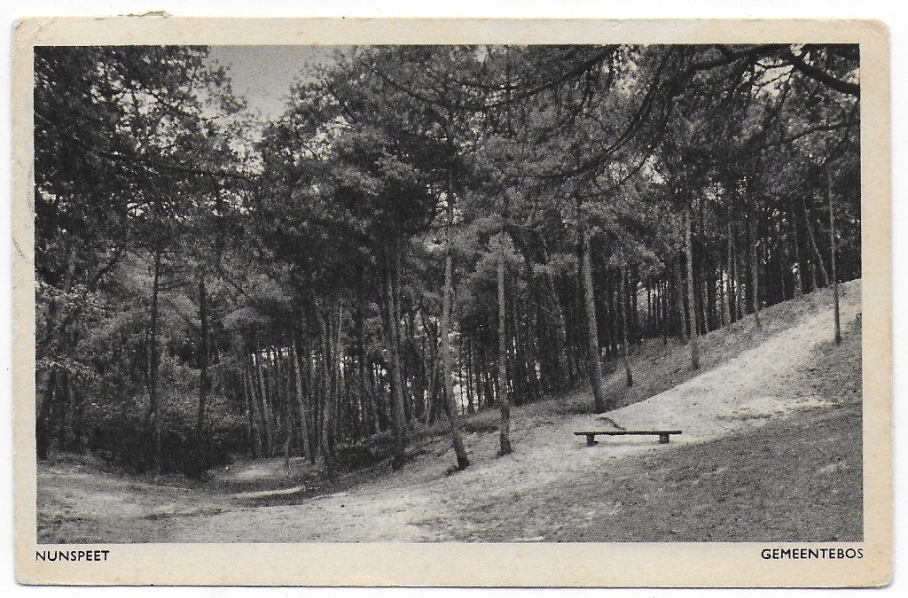 Nunspeet Gemeentebos gelopen Ansichtkaart ( B7318 ), Ophalen of Verzenden, 1960 tot 1980, Gelopen, Gelderland