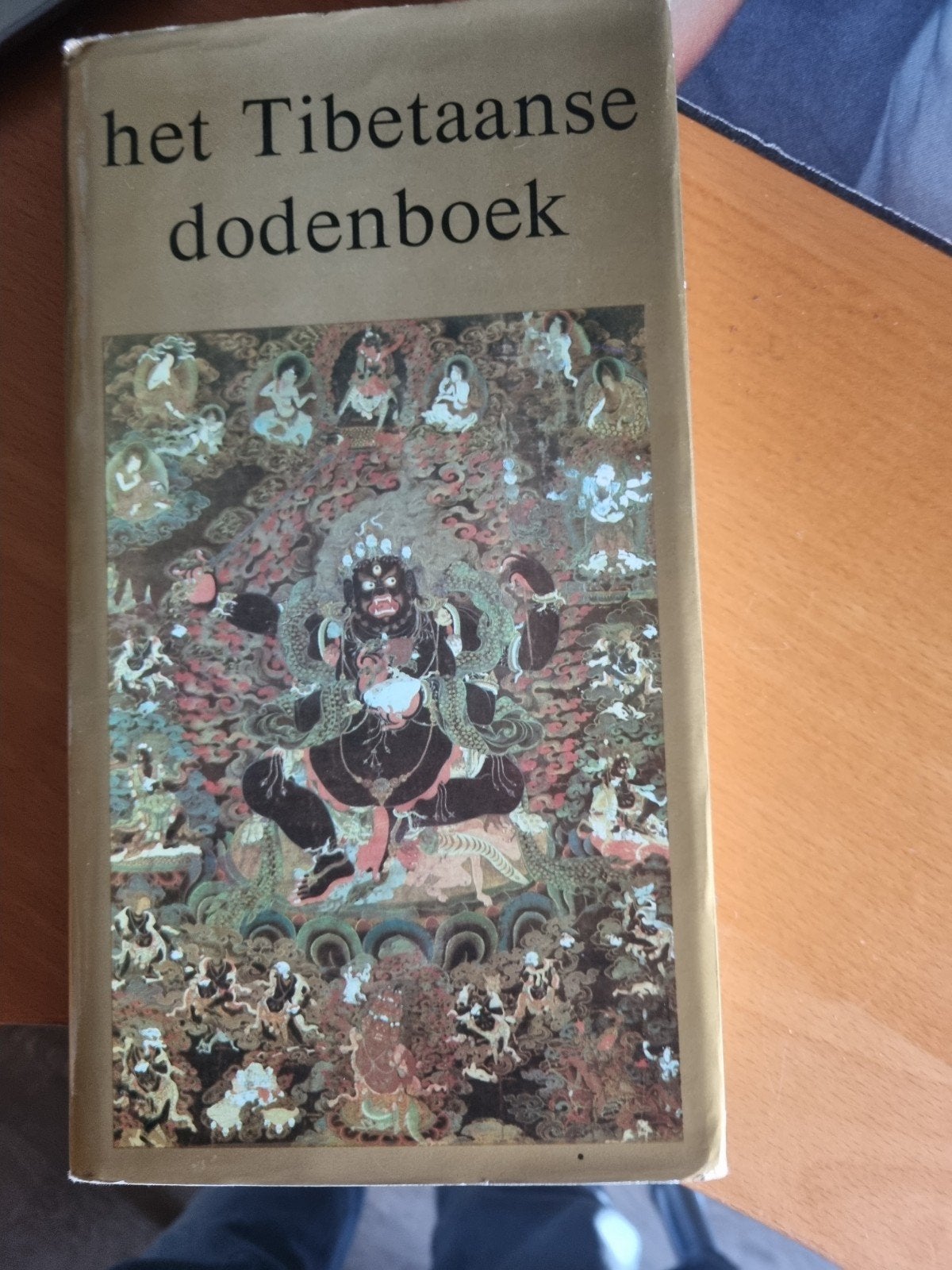 Het Tibetaanse Dodenboek - Klassieker over leven en dood, Boeken, Achtergrond en Informatie, Ziel of Sterfelijkheid, Nieuw, Ophalen of Verzenden