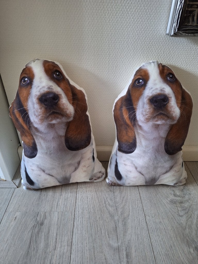 2 kussens in de vorm van een hond lengte 40cm breedte 25cm, Ophalen of Verzenden, Zo goed als nieuw, Meerkleurig