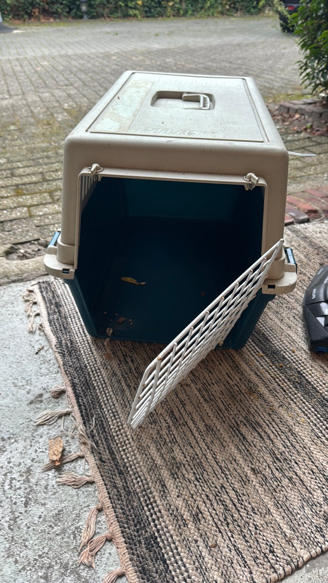 Grote kattenreis mand, Ophalen, Gebruikt