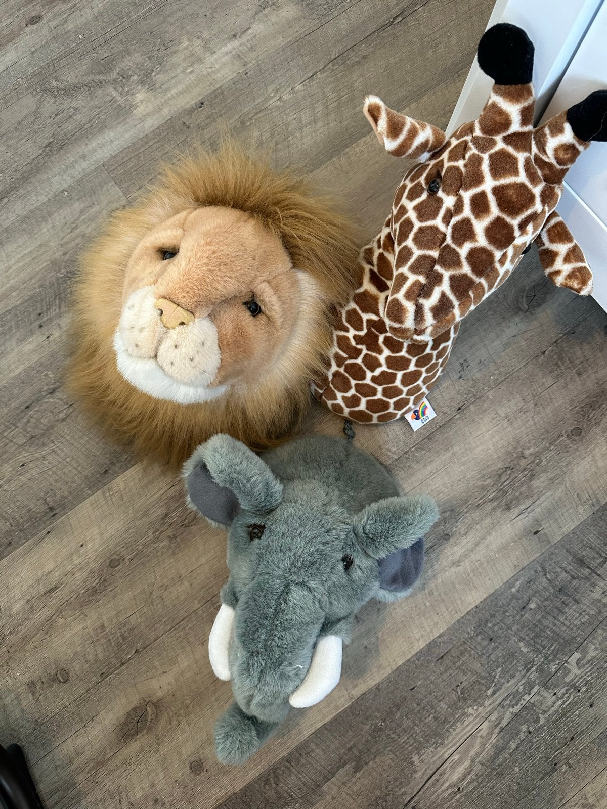 Set van 3 pluche dierenkoppen: leeuw, giraf, olifant, Overige merken, Ophalen of Verzenden, Zo goed als nieuw, Middelgroot (20 tot 80 cm)