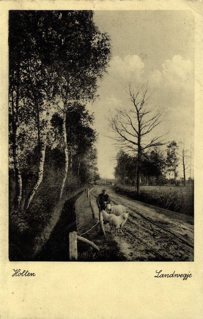 Holten - Landwegje - 1934 gelopen, Ophalen of Verzenden, 1920 tot 1940, Gelopen, Overijssel