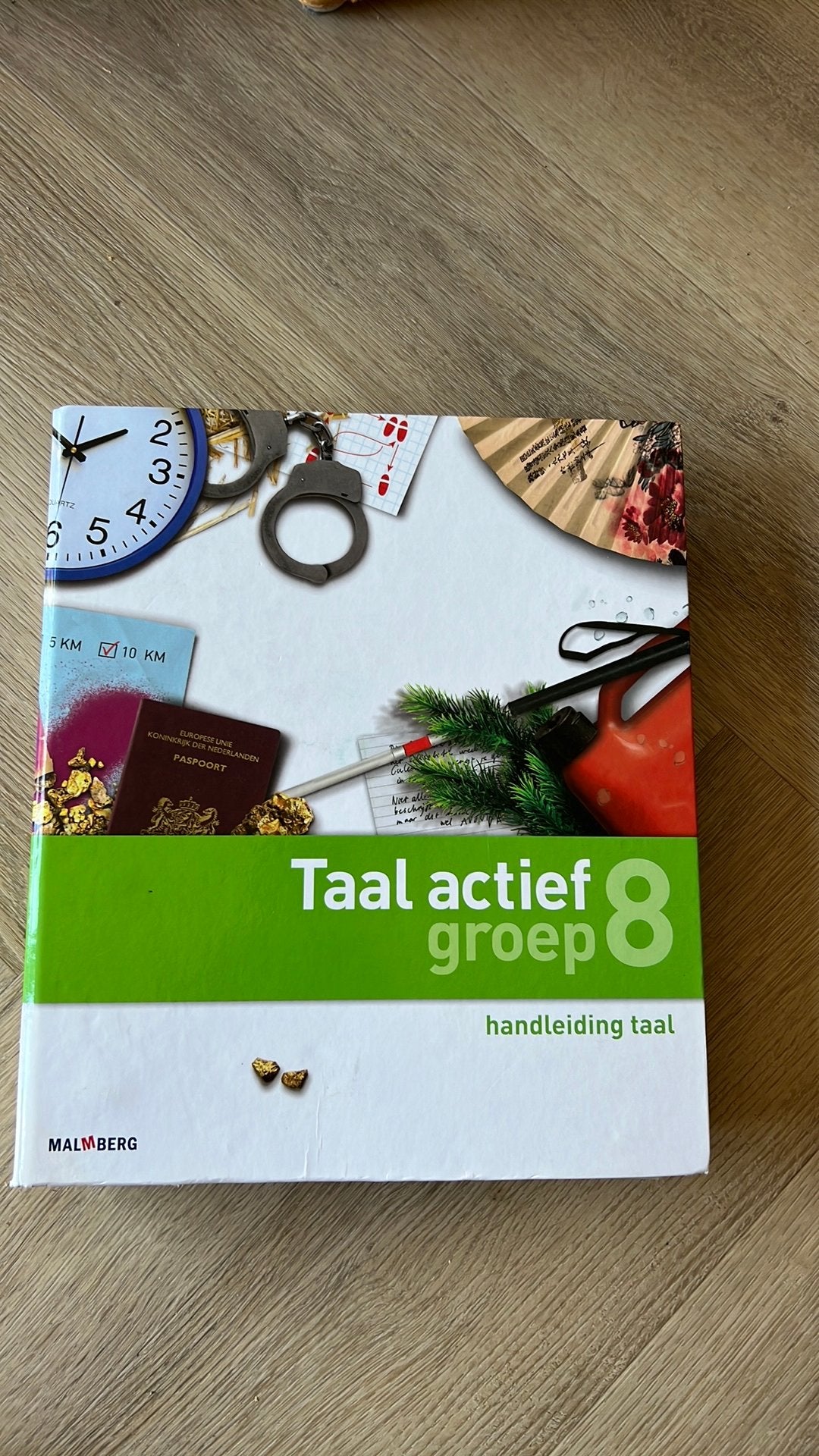 Handleiding taal groep 8 Taal Actief, Ophalen of Verzenden, Zo goed als nieuw, Overige niveaus, Nederlands