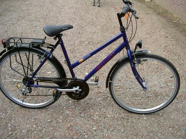 Giant Chinook damesfiets, Ophalen, Velgrem, Nieuw, 49 tot 53 cm