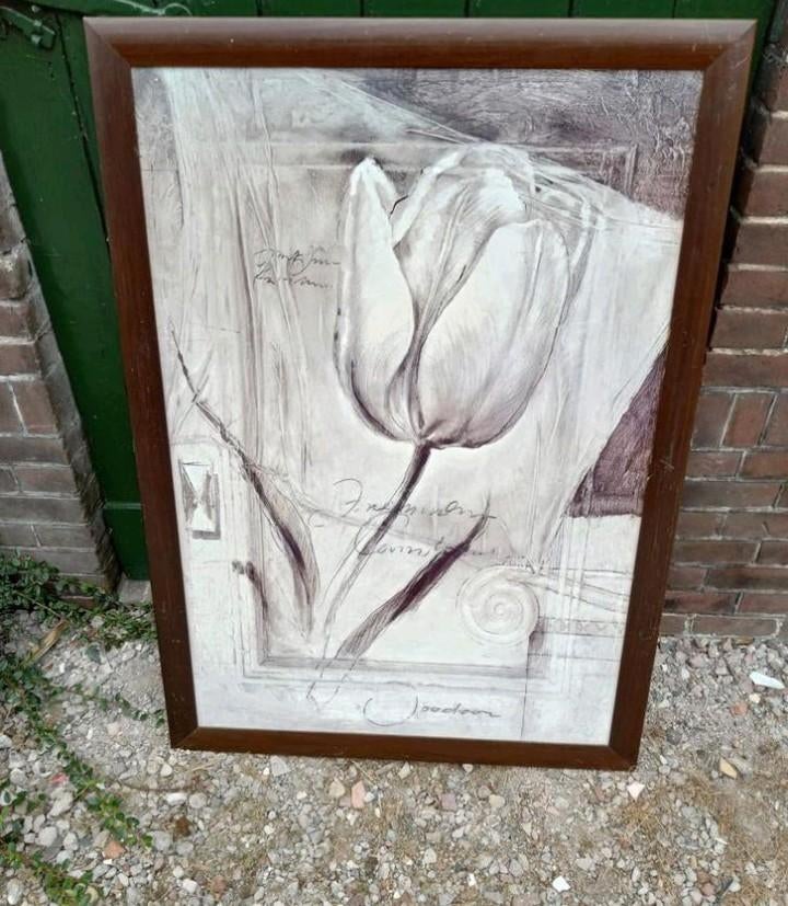 Schilderij met witte tulp, Ophalen, Zo goed als nieuw, Schilderij, 75 cm of meer