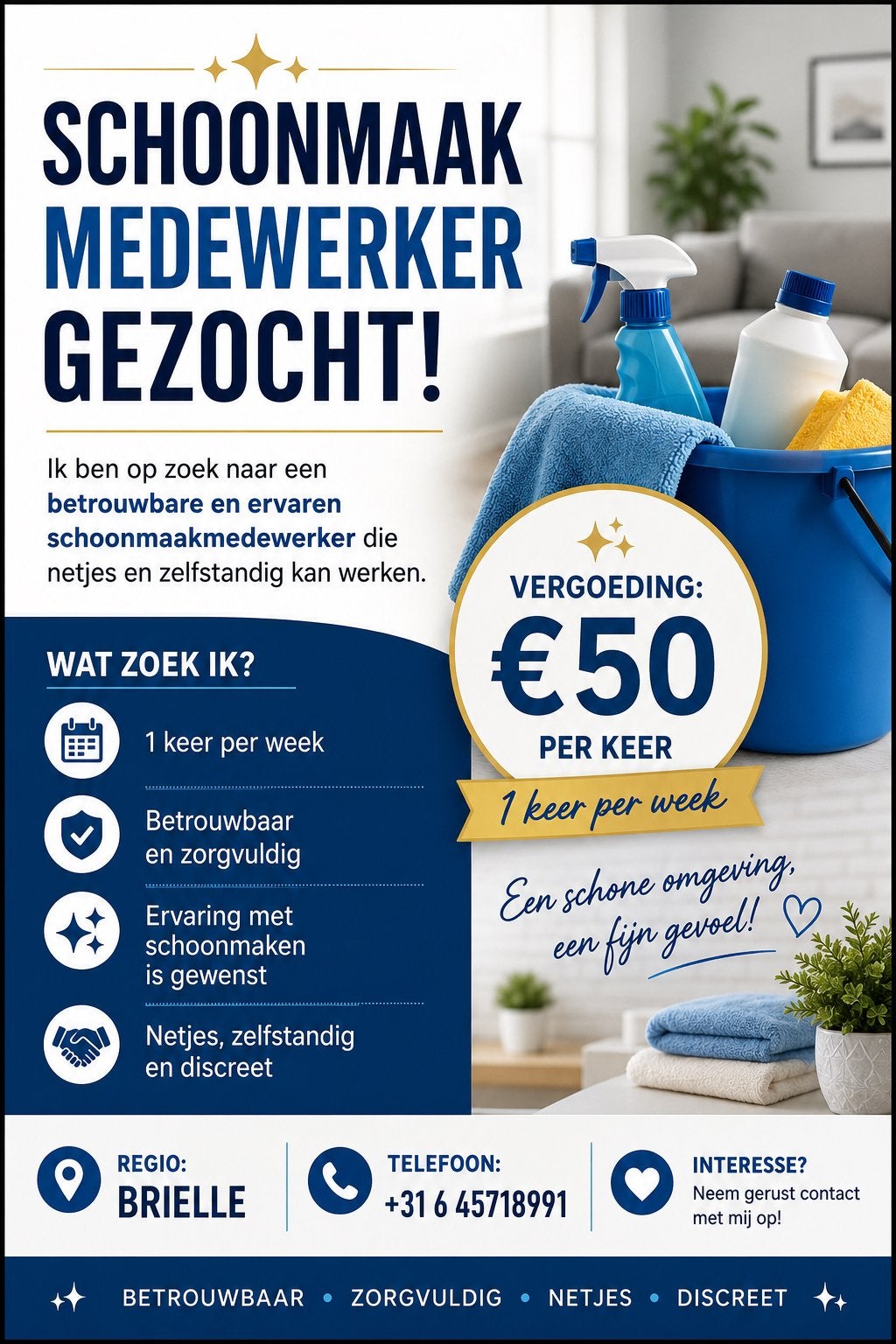 Betrouwbare huishoudelijke hulp gezocht in Brielle, Overige uren, Overige niveaus, Overige vormen