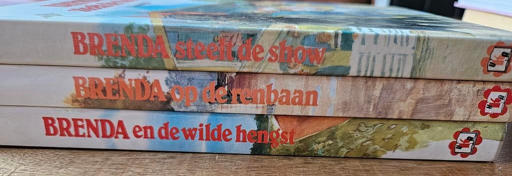 Diverse boeken, Ophalen of Verzenden, Gelezen