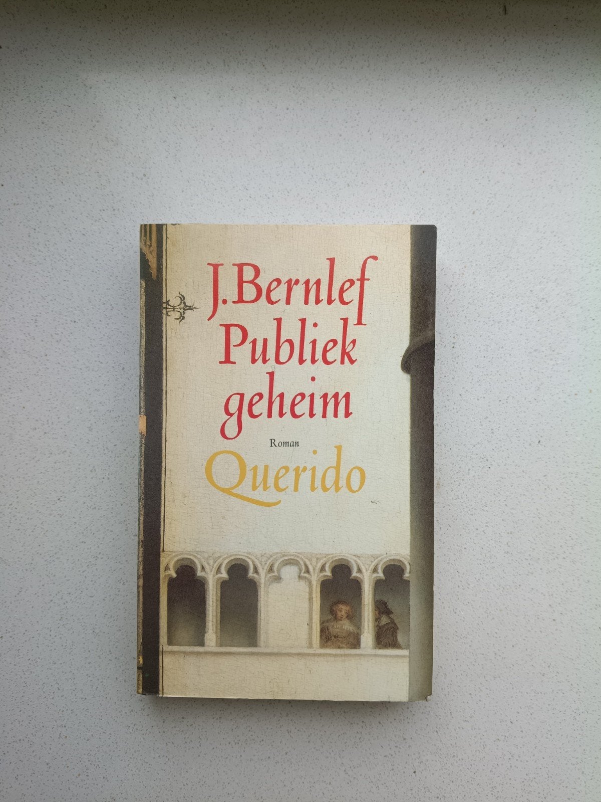 Publiek Geheim - J. Bernlef, Ophalen of Verzenden, Gelezen