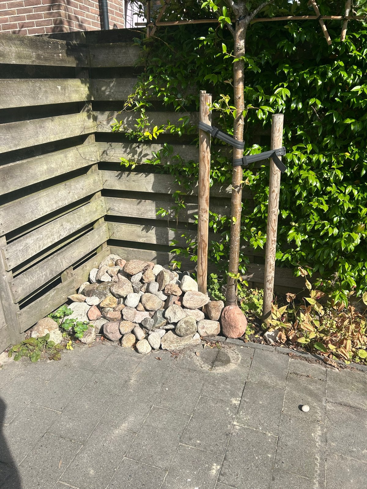 Diverse natuurstenen voor tuin of decoratie, Tuin en Terras, Grind, Keien en Split, Overige materialen, Gebruikt, Ophalen of Verzenden
